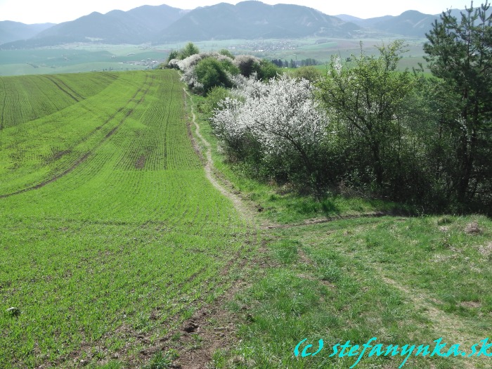 Pohľad na Rajec