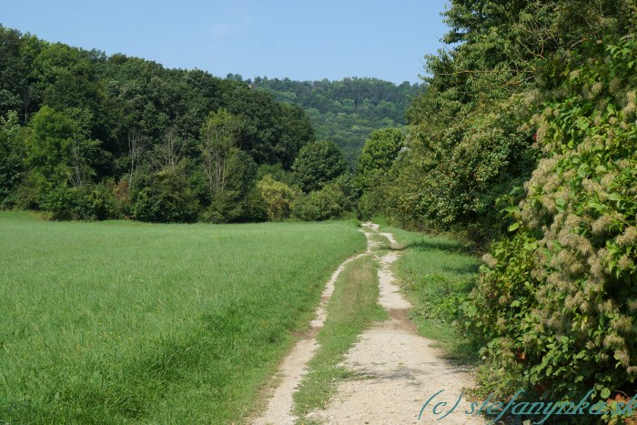 Smerom na Vyvieračku pod Bachárkou