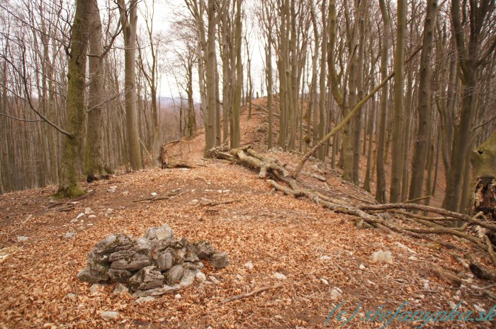 Mešťánková. Ten vyšší kopček v strede fotky