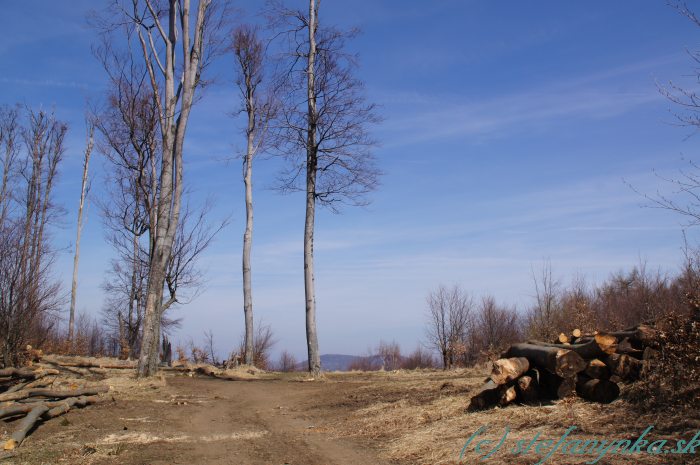 Pri Gajdošovi