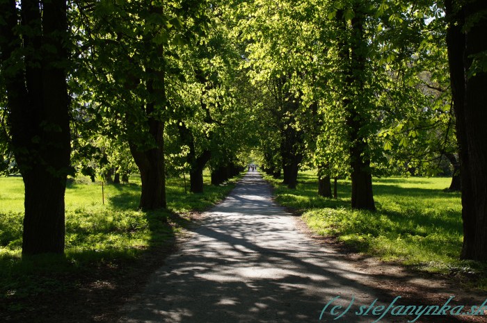 Stupava - park