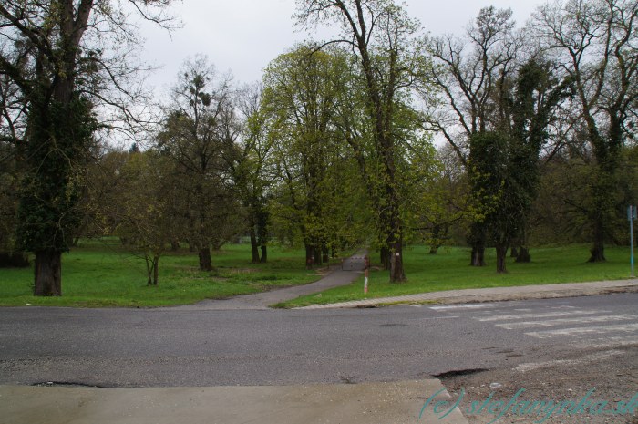 Stupavský park - od Obory