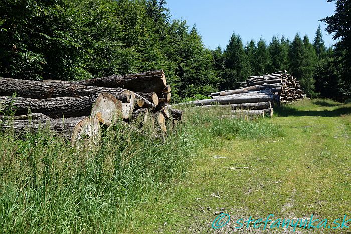 Hrabovina