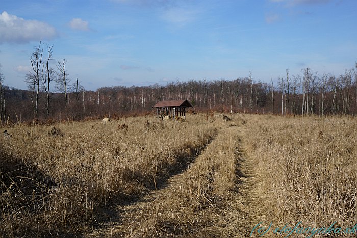 Malé Karpaty