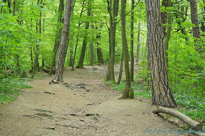 Horský park