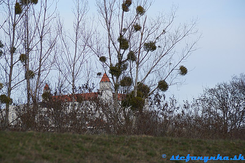 Ohňostroj nad hradom