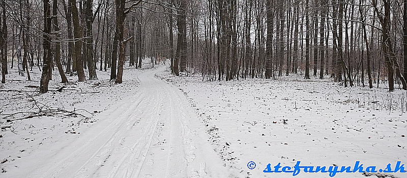 Pod Bielym krížom (na žltej od Stupavy)