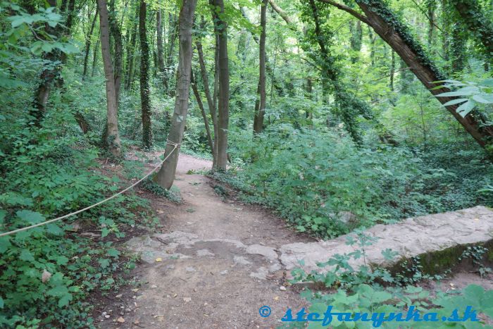 Haluzická tiesňava - lanata