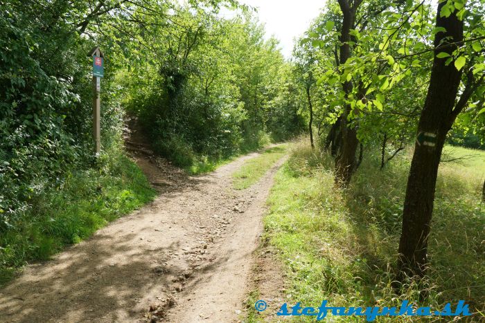 Haluzice - doľava na vyhliadku Hájnica