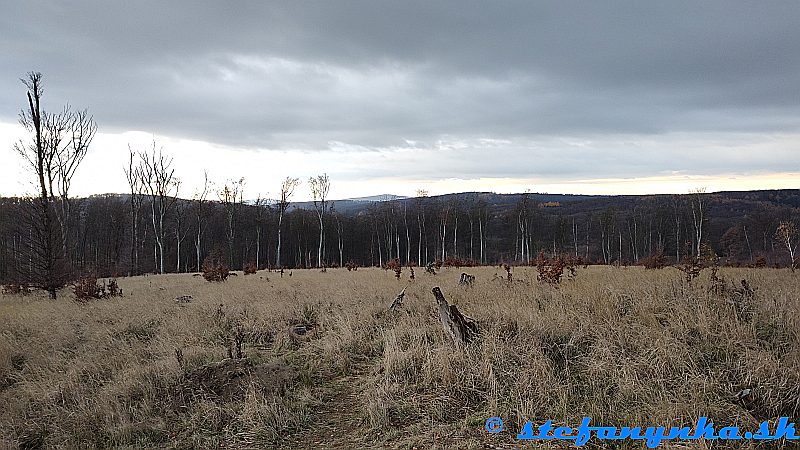 Vypálenisko, Malé Karpaty. V pozadí Devínska Kobyla