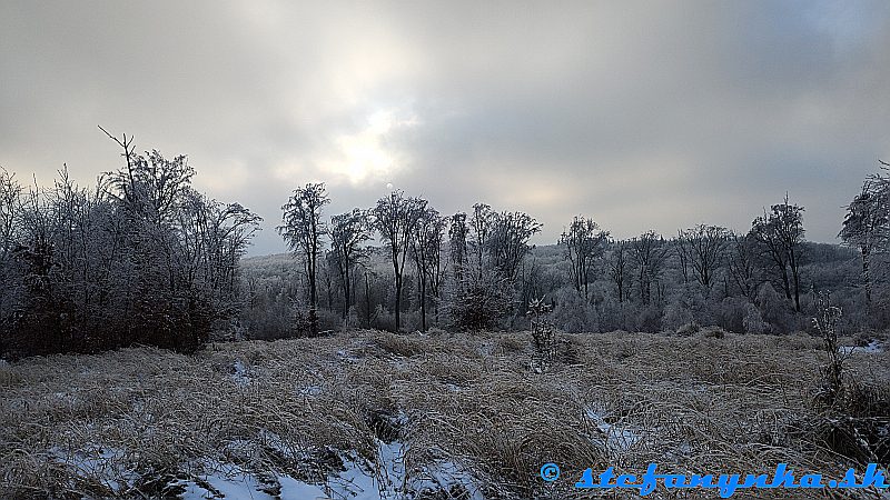 Pri Bukovci. Malé Karpaty