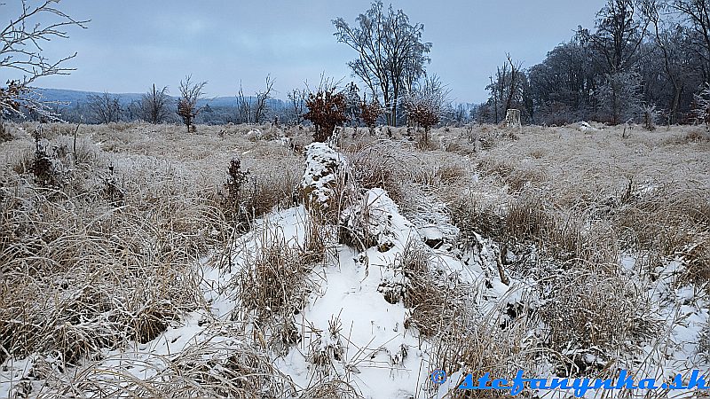 Pri Bukovci. Malé Karpaty