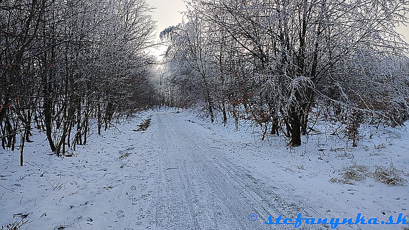 Pod Bielym Krížom. Malé Karpaty, Bratislava