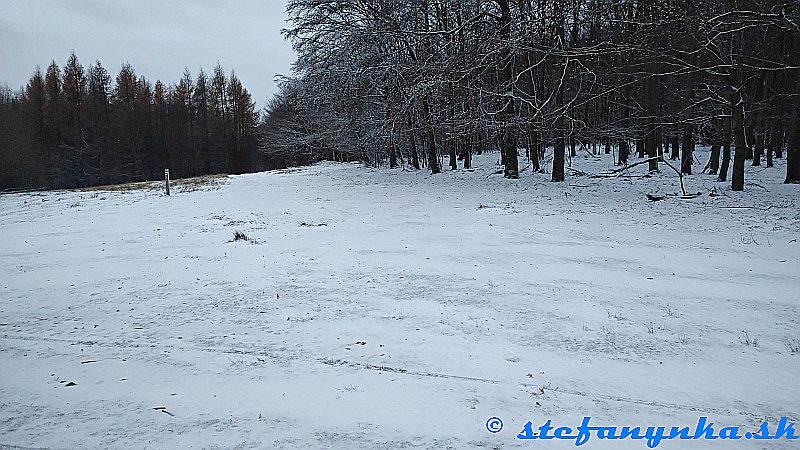 Neďaleko Erdodyho kopca na červenej značke. Malé Karpaty, Bratislava