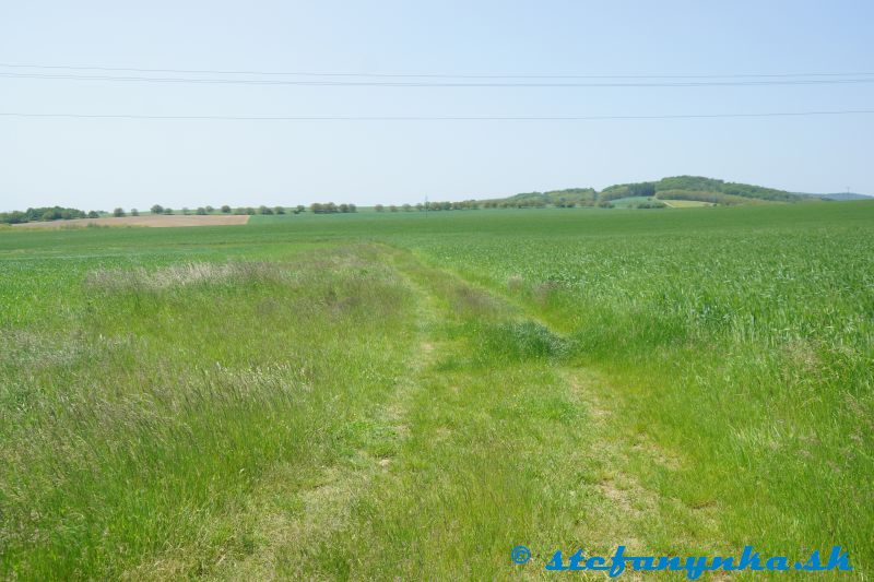 Rohov. Z panelovej cesty na poľnú, smerom k studničke