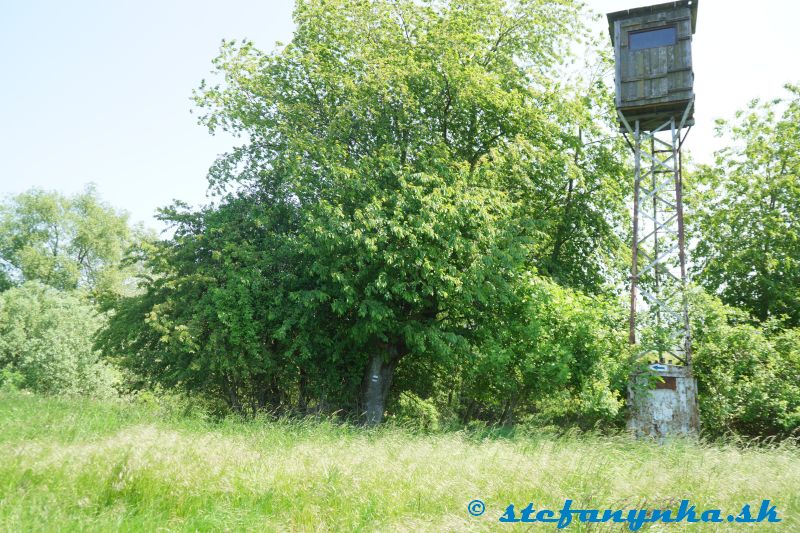 Smrdáky, Miléniový kríž. Jedna z mnohých zákrut. Pri pohľade naspäť ukazuje šípka na posede, že je potrebné ísť doľava. Pri príchode opačným smerom tú šípku nie je vidieť a značka na strome navádza, že by som mal pokračovať rovno...