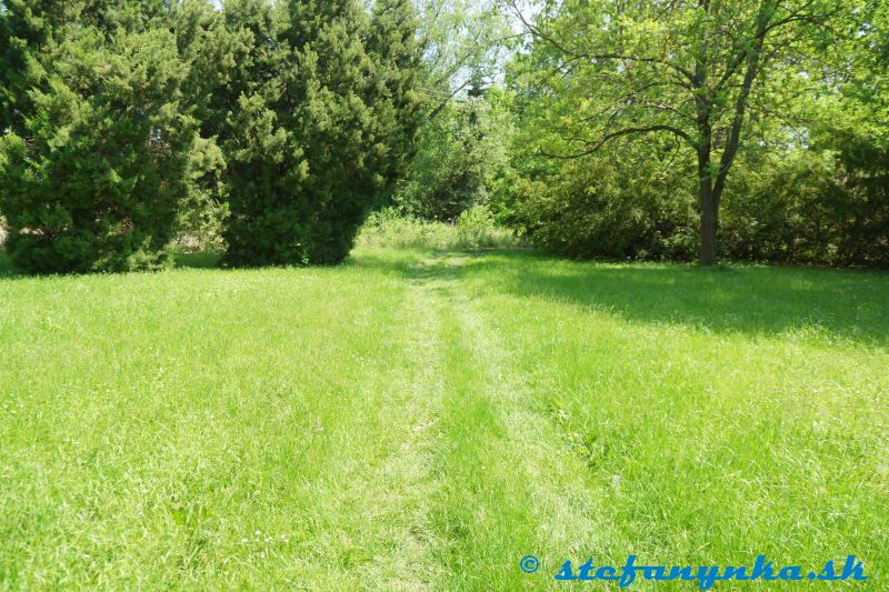 Kúpele Smrdáky. Kúpeľný park. Prechod žltej značky na cestu popri potoku