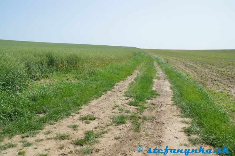 Smrdáky, pod kúpeľným parkom. Od odbočky na malý kopček