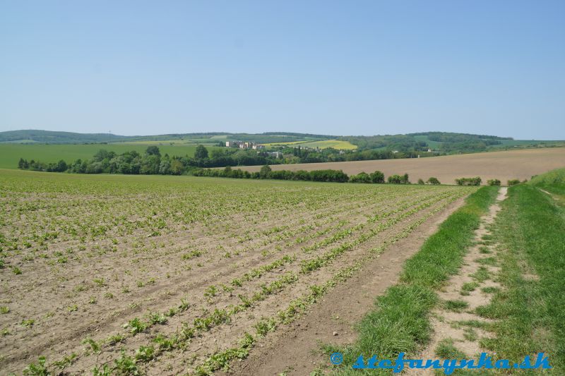 Pohľad z kopčeka na Smrdáky a kúpeľný park (od skupiny stromov vľavo smerom doprava)