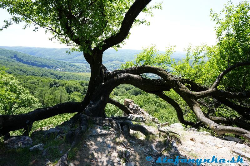 Pajštún
