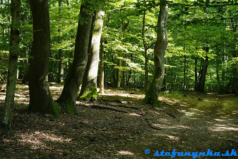Pod Krupovým vrchom Pod Krupovým vrchom