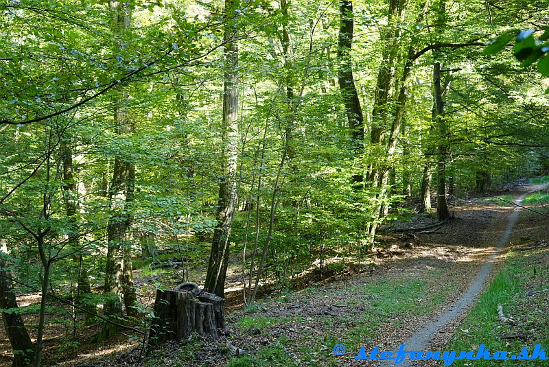 Pri Slívovi Pri Slívovi