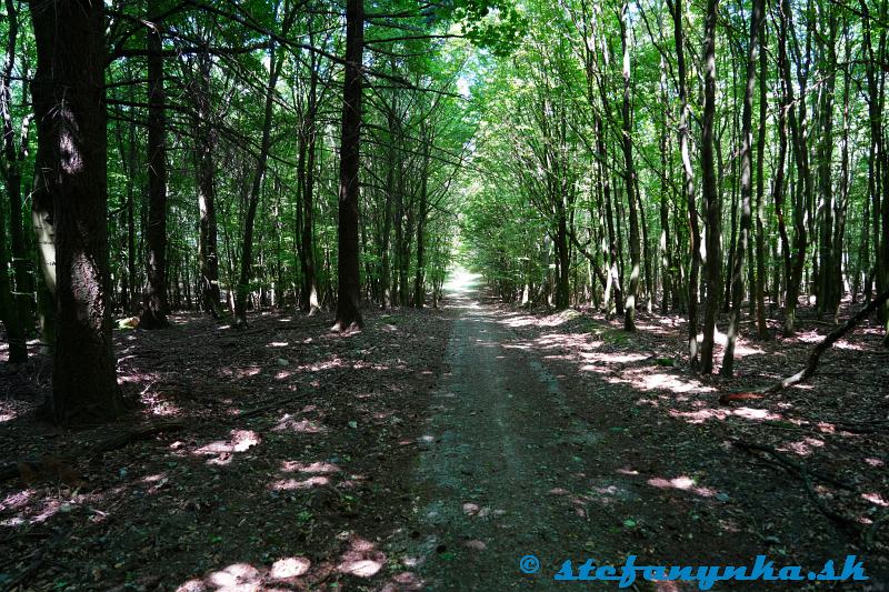 Nad Kotliarkou Nad Kotliarkou