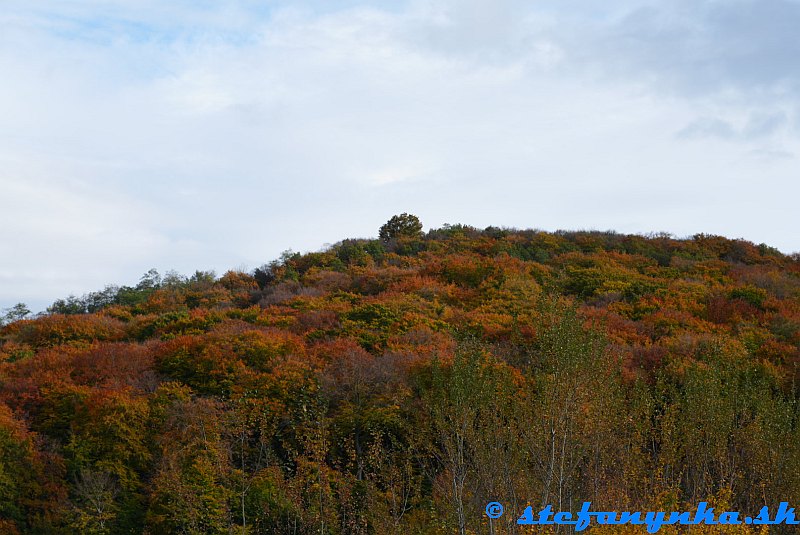 Bázgovič nad Mariankou