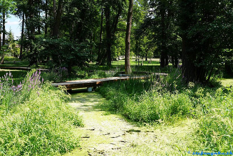 Stupava - park Stupava - park