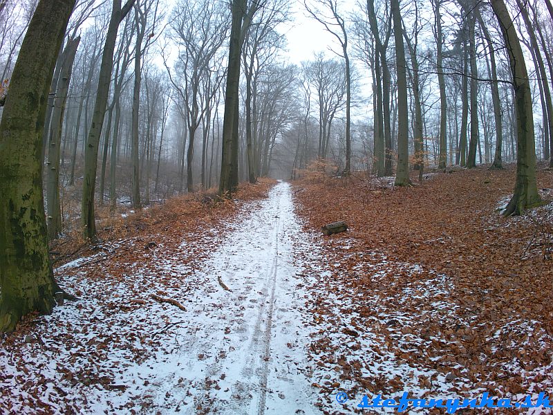 Pekná cesta pod Spariskami