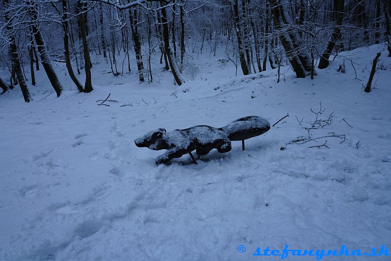 Kačínska dolina - polárna líška