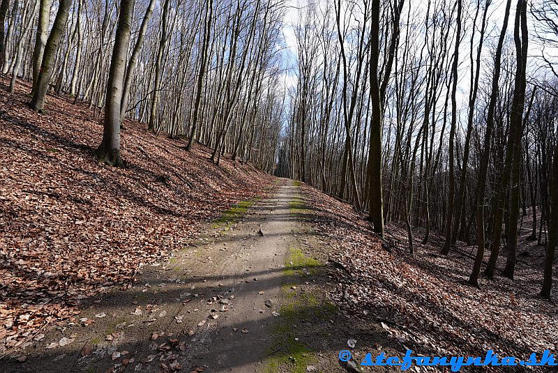 Pod Malinským vrchom