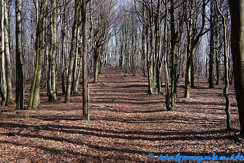 Stúpanie zo Sedla Javorina