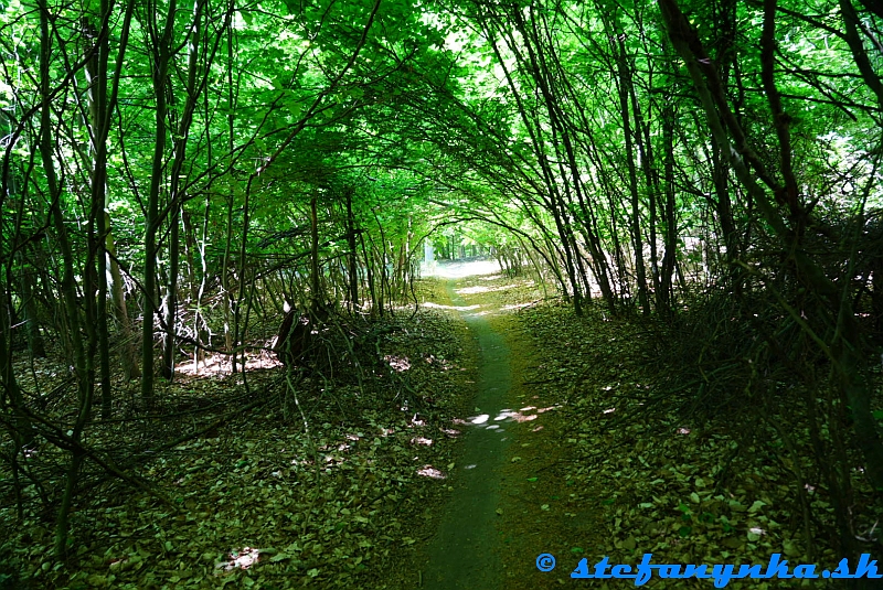 Žilová