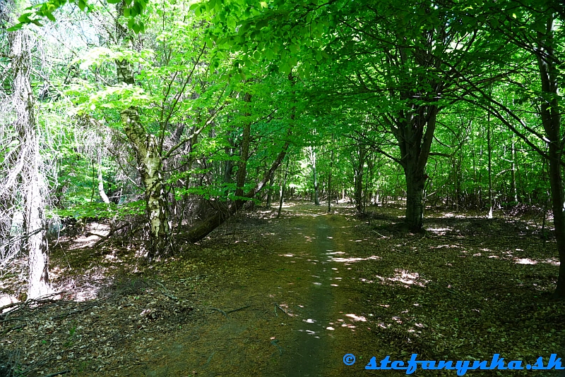 Stratený kút