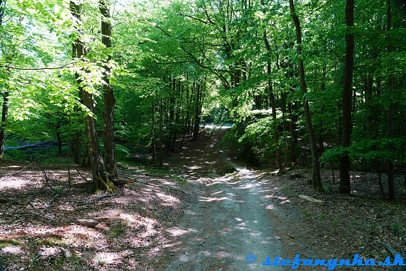 Salaš